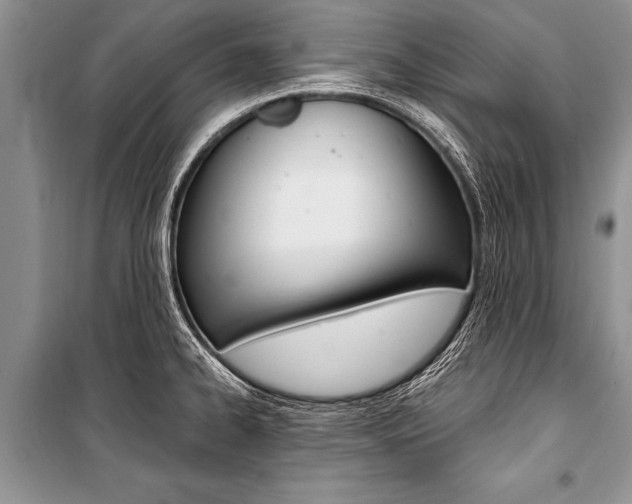 X0000101111334200806261100