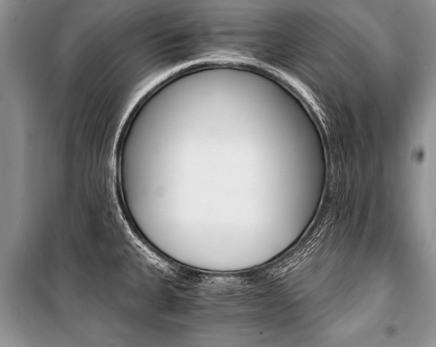 X0000101111335200806261100