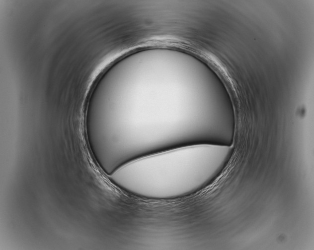 X0000101111336200806261100