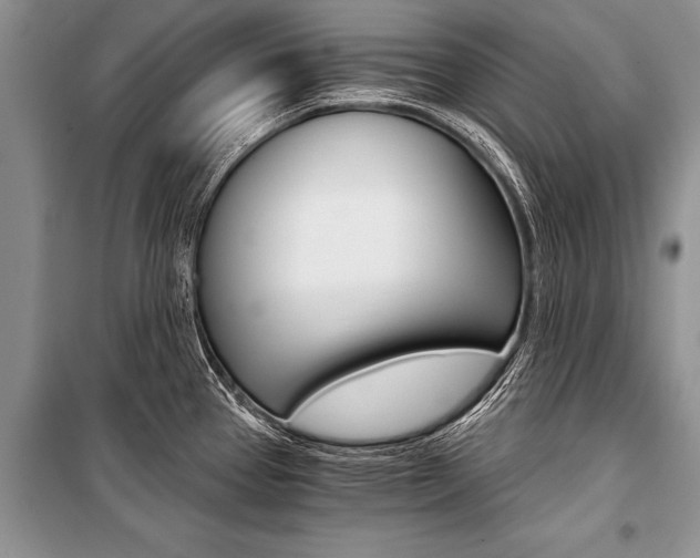 X0000101111337200806261100