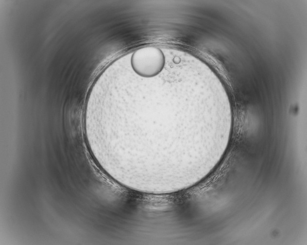 X0000101111338200806261100