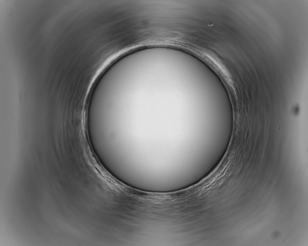 X0000101111340200806261100