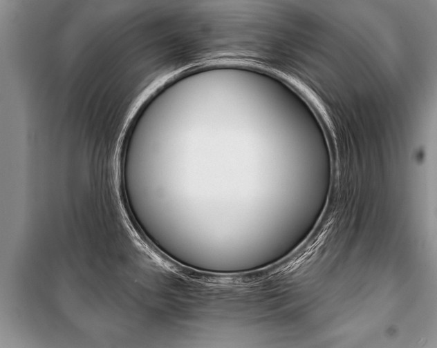 X0000101111341200806261100