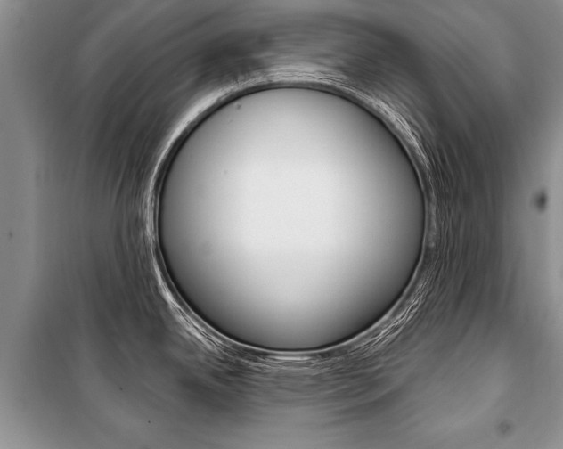 X0000101111342200806261100