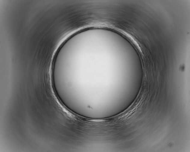 X0000101111343200806261100