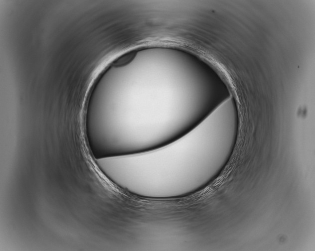 X0000101111344200806261100