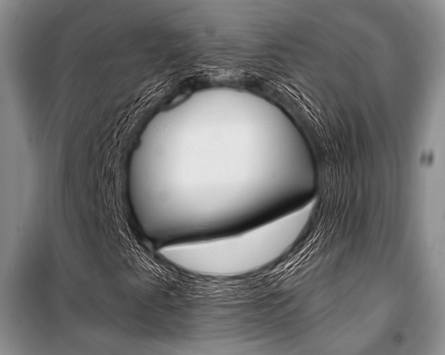 X0000101111345200806261059