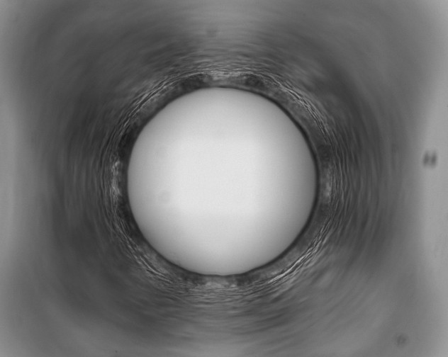 X0000101111346200806261059