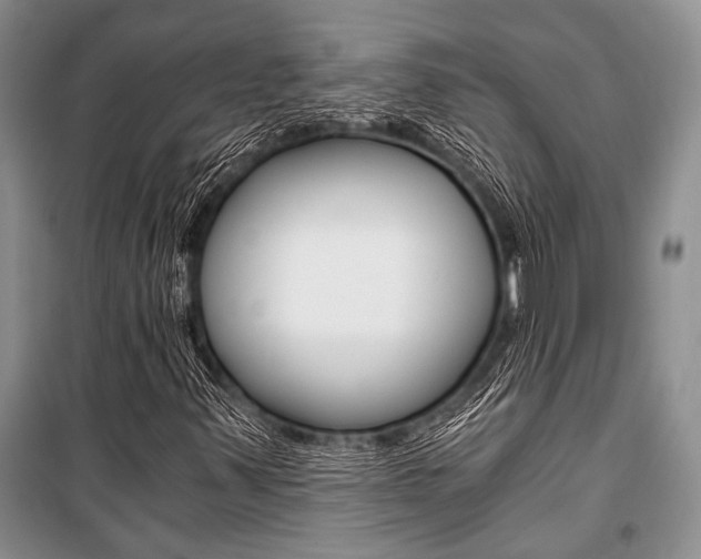 X0000101111347200806261059