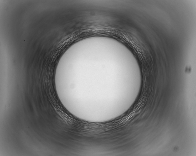 X0000101111348200806261059