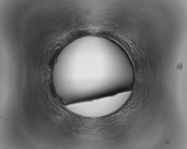 X0000101111349200806261059