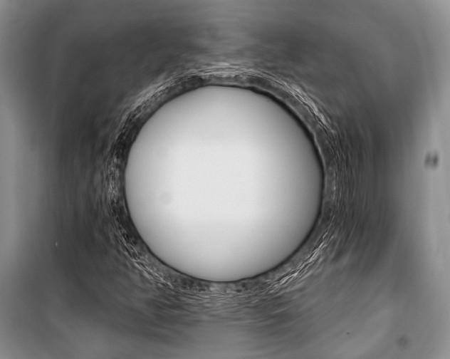 X0000101111350200806261059