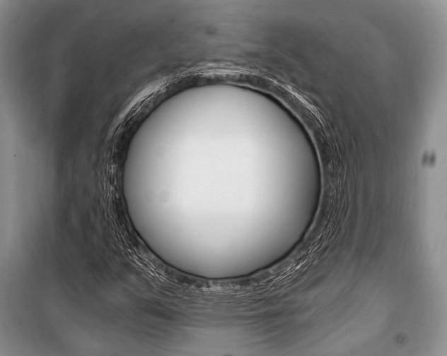 X0000101111351200806261059