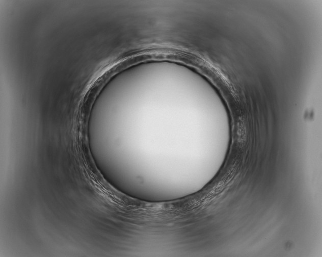 X0000101111352200806261059