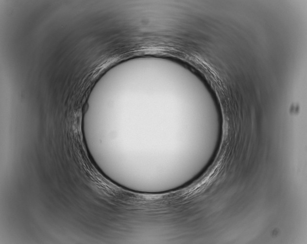 X0000101111353200806261059