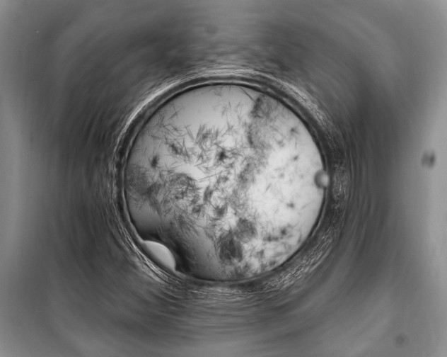 X0000101111356200806261059