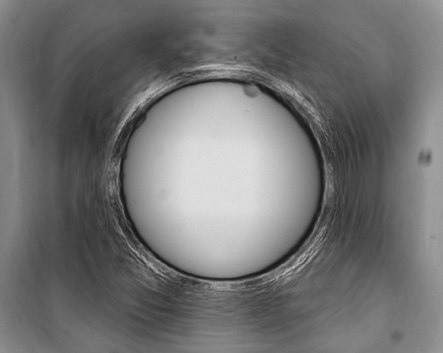 X0000101111357200806261059