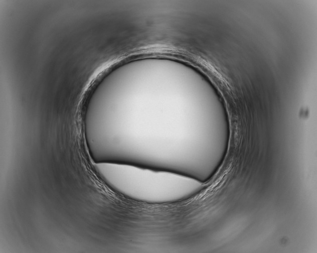 X0000101111358200806261059