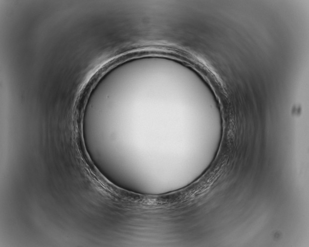 X0000101111360200806261059