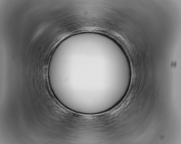 X0000101111361200806261059