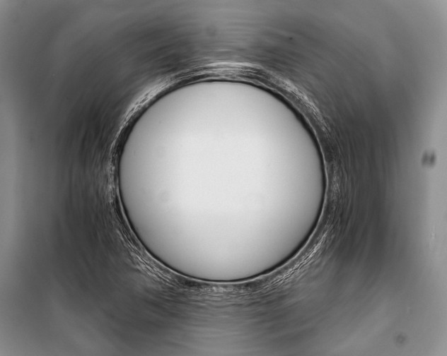 X0000101111362200806261059