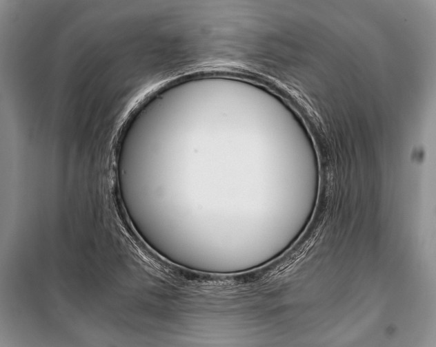 X0000101111363200806261059