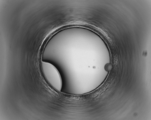 X0000101111364200806261059