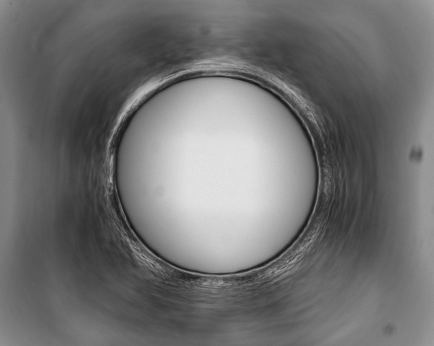 X0000101111366200806261059