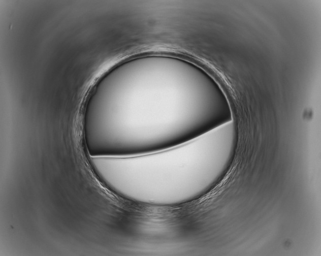 X0000101111367200806261059