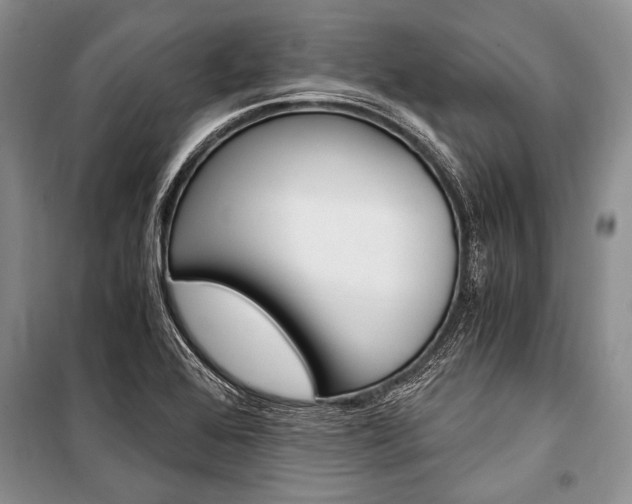 X0000101111368200806261059