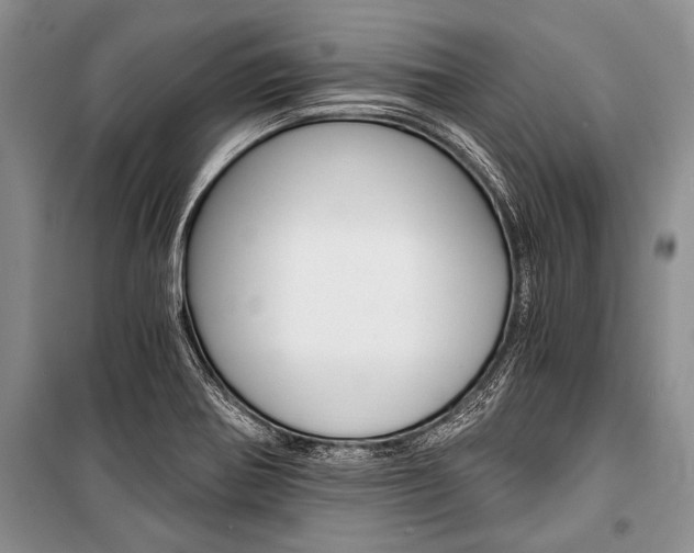 X0000101111370200806261059