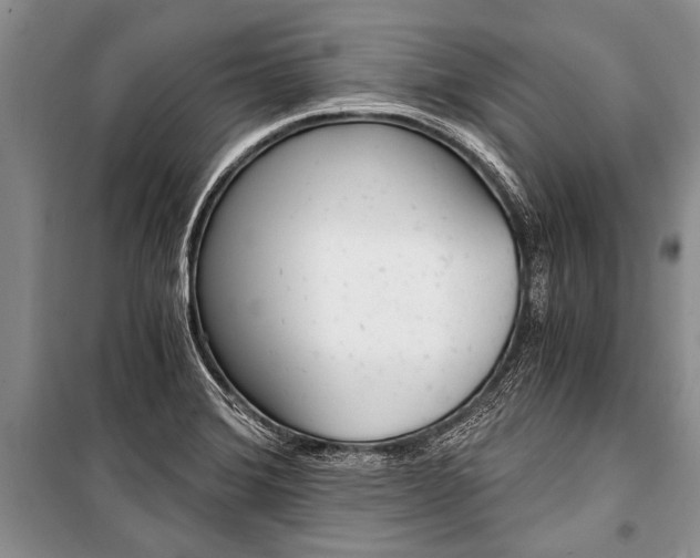 X0000101111372200806261059