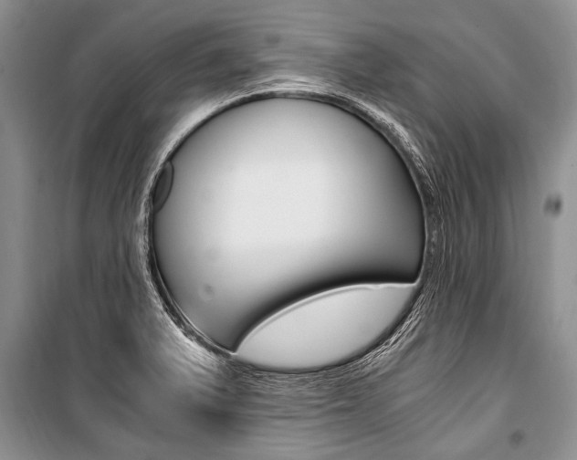 X0000101111375200806261059
