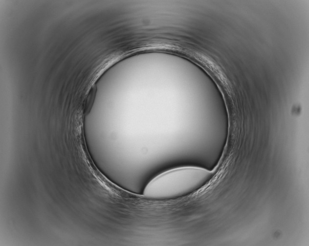 X0000101111377200806261059
