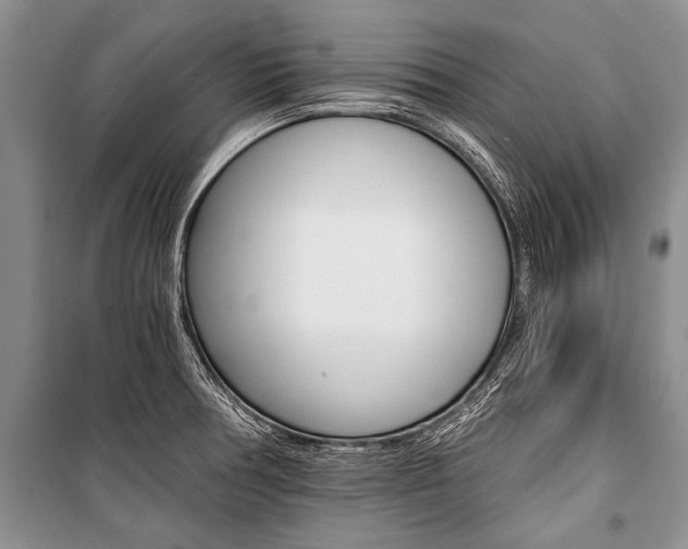 X0000101111378200806261059
