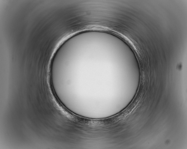 X0000101111379200806261059