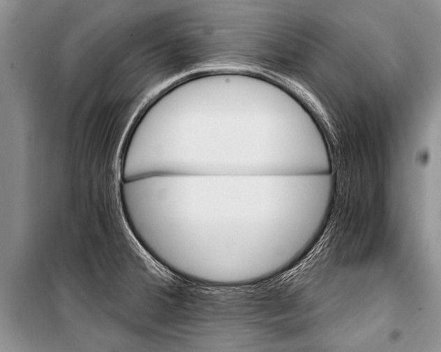 X0000101111380200806261059
