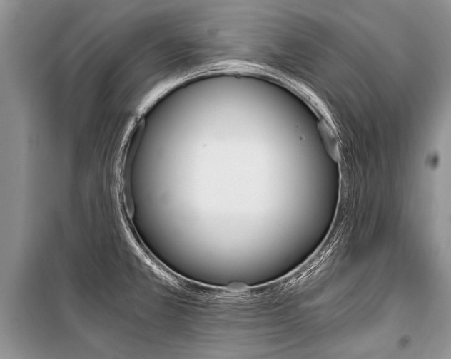 X0000101111381200806261059