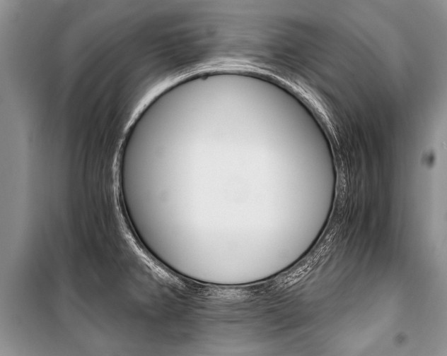 X0000101111382200806261059