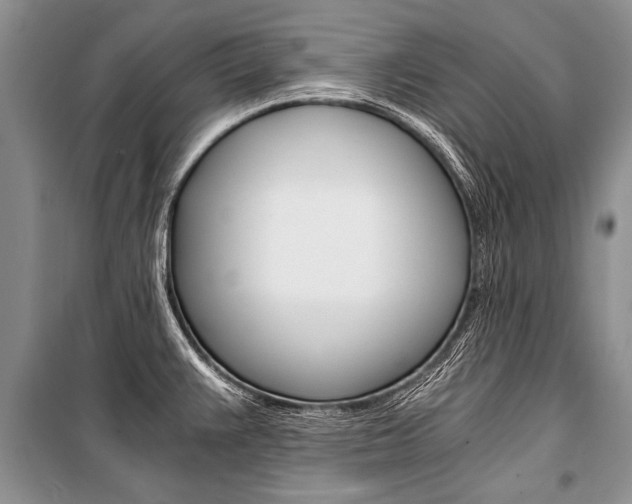 X0000101111383200806261058