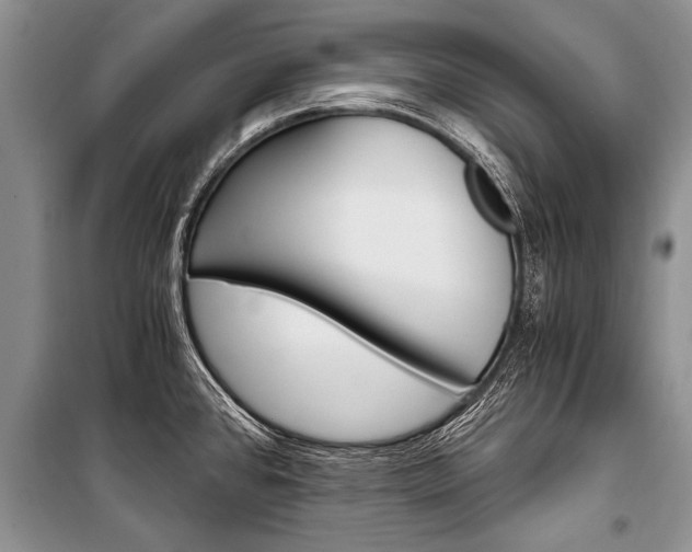 X0000101111384200806261058