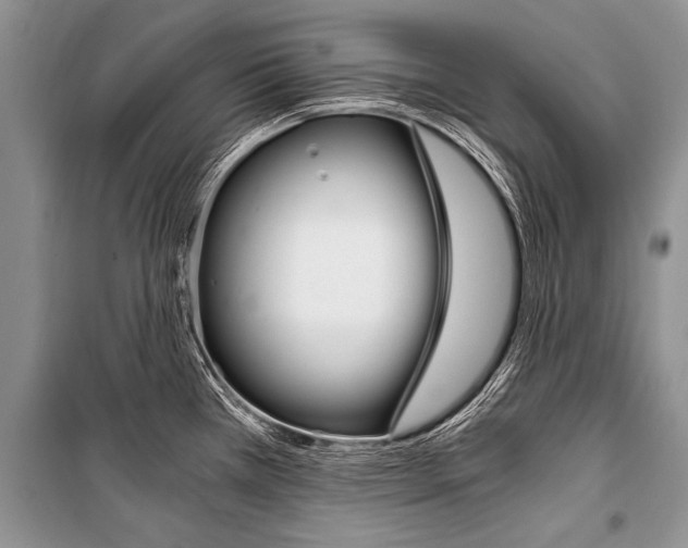 X0000101111385200806261058