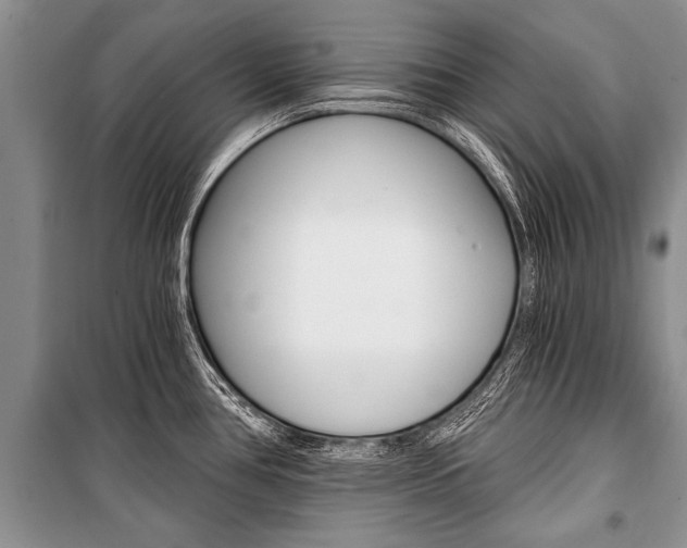 X0000101111386200806261058