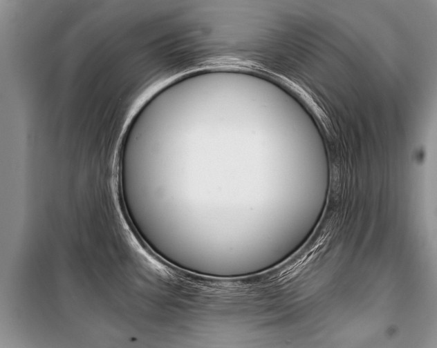 X0000101111387200806261058