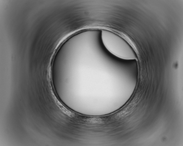X0000101111388200806261058