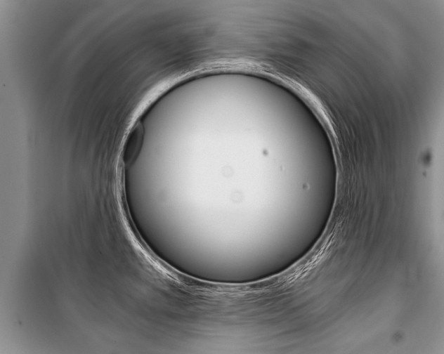 X0000101111389200806261058