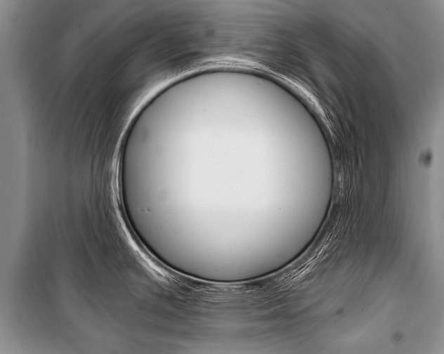 X0000101111391200806261058