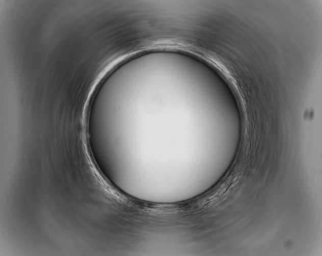 X0000101111392200806261058