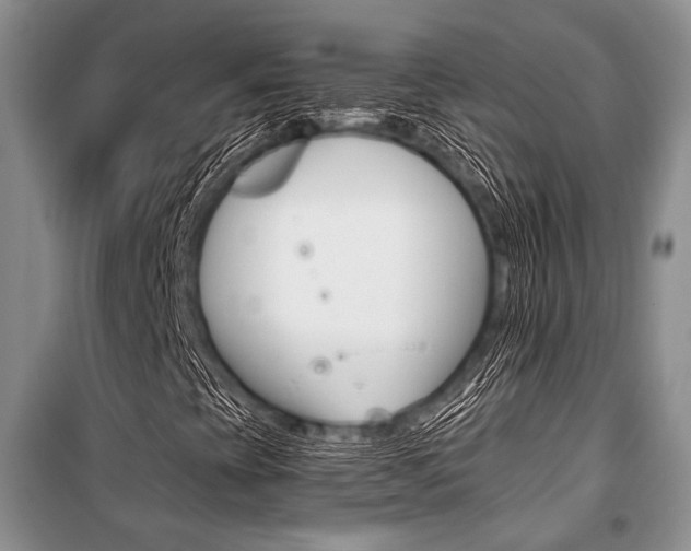 X0000101111393200806261058