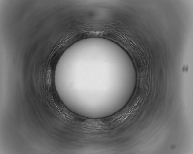 X0000101111394200806261058